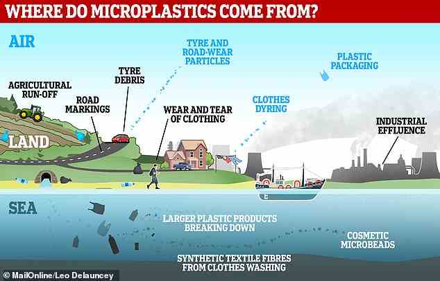 Mikroplastik gelangt auf verschiedene Weise in die Gewässer und wird schließlich in der Flüssigkeit suspendiert.  Aus dem Wasser können sie von Meeresfrüchten aufgenommen oder von Pflanzen aufgenommen werden, um in unsere Nahrung zu gelangen