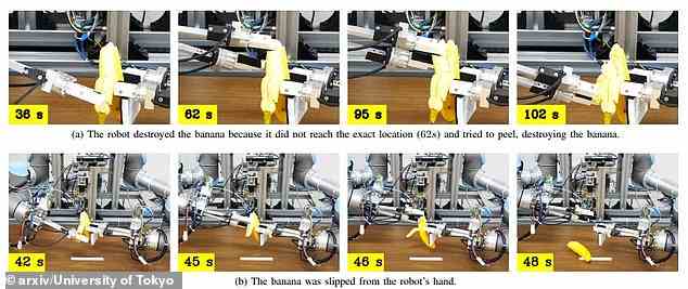 Nachdem die Forscher den Roboter trainiert hatten, testeten sie ihn auf einem Bananenhaufen.  Sie fanden heraus, dass der Bot in 57 Prozent der Fälle eine Banane erfolgreich schälen konnte, ohne sie zu zerdrücken