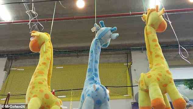 Diese armen Giraffen würden auf dem Boden zweifellos hübsch aussehen, aber im Laden an ihren Hälsen zu hängen, ist ziemlich unheilvoll