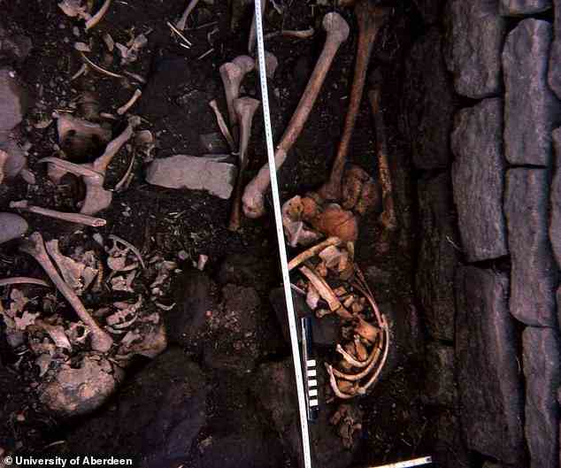 Die Skelettreste des mittelalterlichen Wanderers, fotografiert im Moor, wo er 1975 zusammen mit 13 anderen gefunden wurde