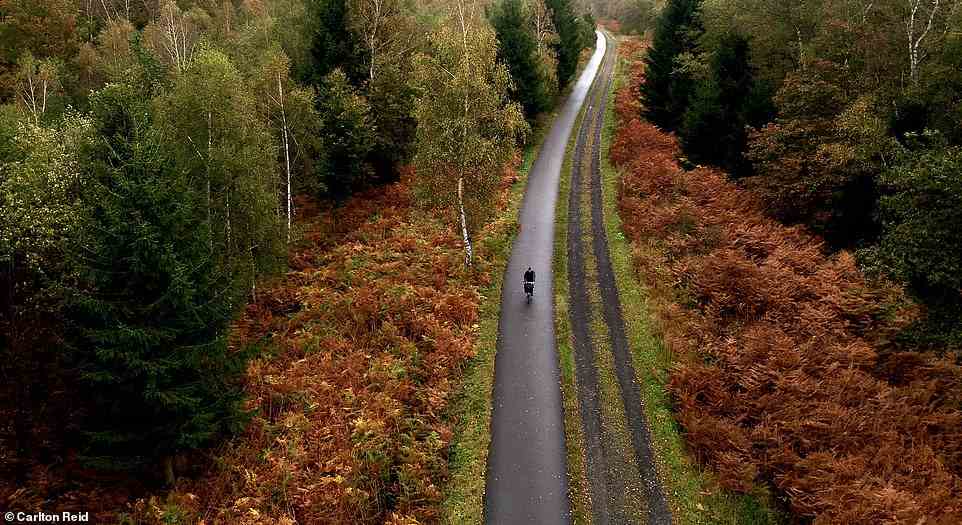 Carlton Reid cycles on the Vennbahn rail-trail, which for 28km is a 10-metre-wide enclave of Belgium in Germany