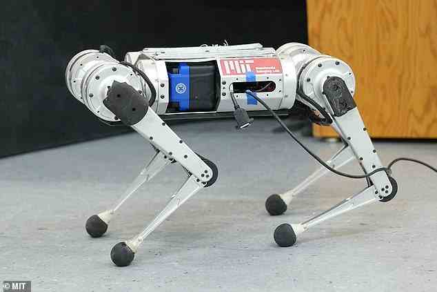 Dieser vierbeinige Roboter-„Gepard“ rast mit einer Geschwindigkeit von bis zu 15 km/h über den Boden und bringt Sie mit Sicherheit zum Springen