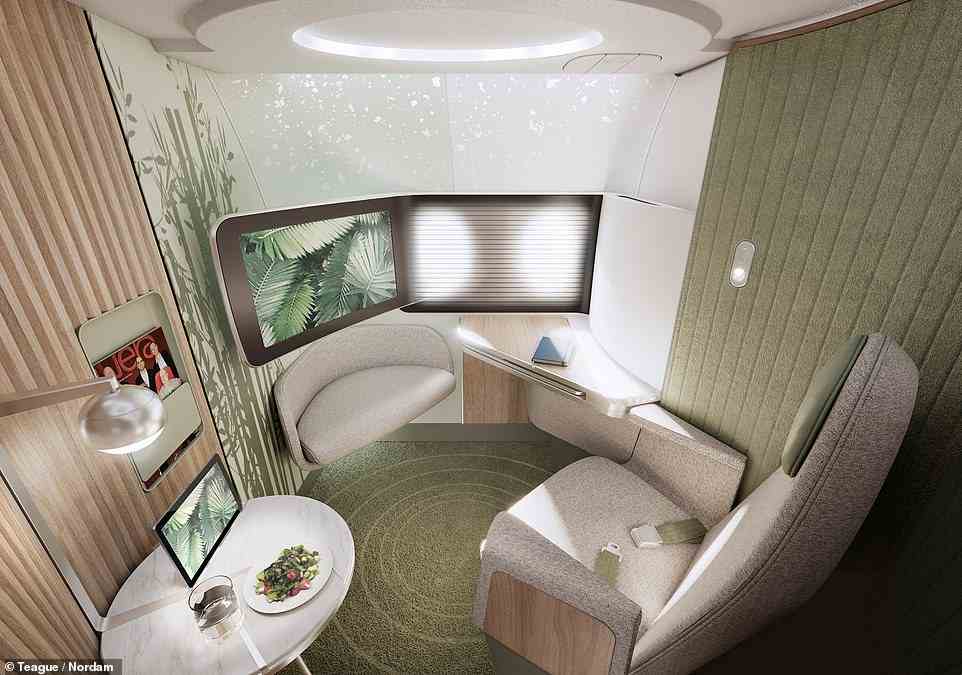 Es wurden Renderings für eine atemberaubende neue Single-Aisle-Flugzeugkabine mit Suiten veröffentlicht, die luxuriösen Wohnzimmern ähneln