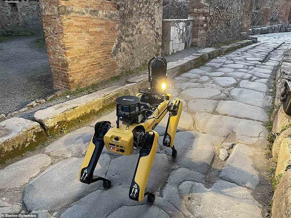 Der archäologische Park von Pompeji hat den Roboterhund Spot (im Bild) angeworben, um die Straßen und Tunnel der antiken Stadt auf Sicherheits- und Strukturprobleme zu inspizieren