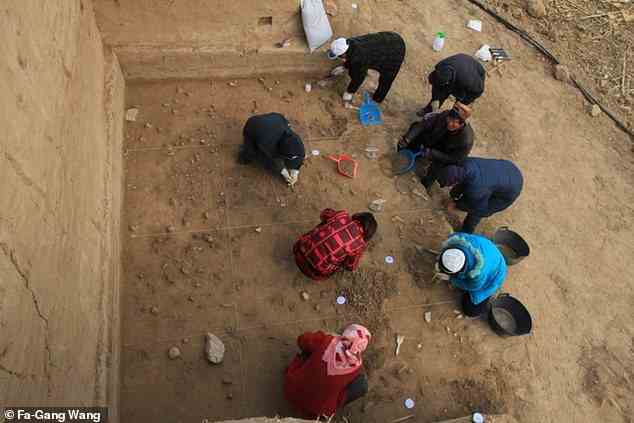 Archäologen graben die gut erhaltene Oberfläche am Standort Xiamabei in Nordchina aus und zeigen Steinwerkzeuge, Fossilien, Ocker und rote Pigmente