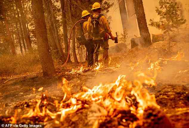Letztes Jahr war ein Rekordjahr für Waldbrände, mit verheerenden Bränden, die in Kalifornien (im Bild), Australien und Sibirien verheerende Schäden anrichteten