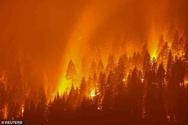 Forscher der Universität Tianjin enthüllten, wie „brauner Kohlenstoff“, der bei Waldbränden in der nördlichen Hemisphäre freigesetzt wird, die globale Erwärmung in der Arktis beschleunigt.  Im Bild: Das Dixie-Lauffeuer in Kalifornien