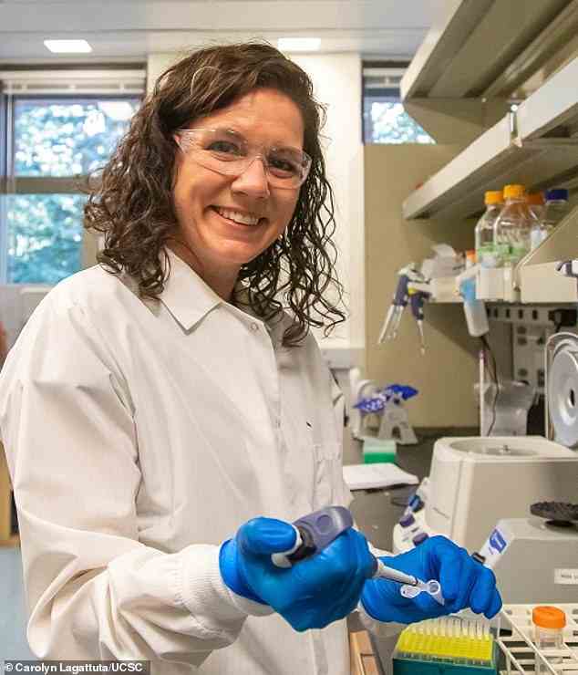 Karen Miga, assistant professor of biomolecular engineering at UC Santa Cruz, co-founded the Telomere-to-Telomere (T2T) consortium to pursue a complete, gapless assembly of a human genome sequence