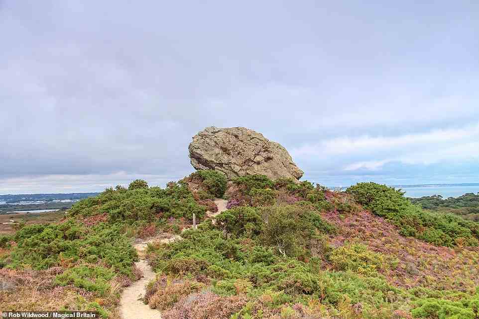 AGGLESTONE, STUDLAND, DORSET: 'Perched atop a heathery knoll on Studland Heath is an immense boulder known as the Agglestone, said to have been hurled there by a giant (or some say the Devil),' the book says. 'Legend has it that the giant was sitting on the Needles, off the Isle of Wight, when he threw the boulder at Corfe Castle. However, his aim was poor and the boulder came to rest in its current hilltop position looking out towards Studland Bay.' Coordinates: 50.6452, -1.9680