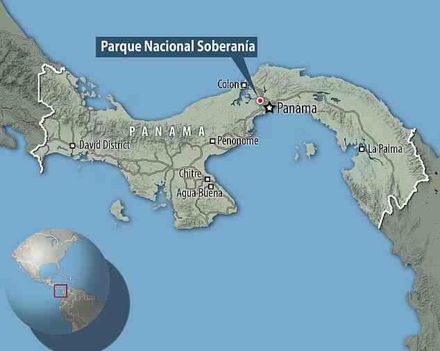 Panamas Parque Nacional Soberanía liegt etwa 24 km von der Hauptstadt des Landes, Panama City, entfernt