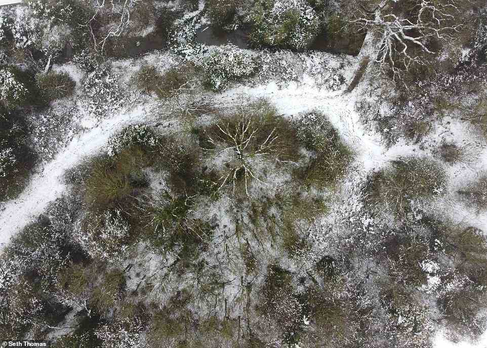 Seth Thomas beschloss, seine Drohne über diese winterliche Szenerie zu fliegen und das Foto direkt durch die kahlen Bäume zu schießen