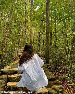 Besucher können eine Reihe von Wanderwegen hinuntergehen, die dem Mossman River durch den üppigen Regenwald der Schlucht folgen