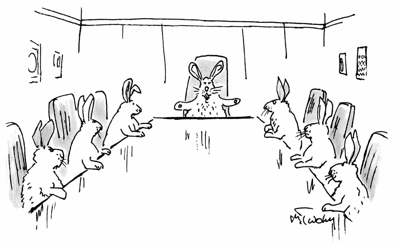 Ein Vorstandstreffen der Kaninchen.