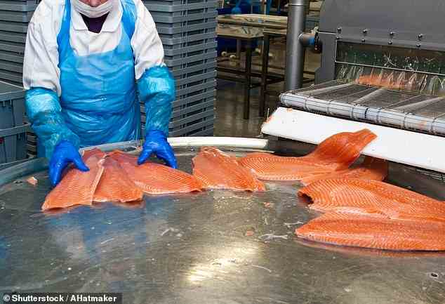Hilton kaufte einen niederländischen Lachsproduzenten, der ihm zum ersten Mal Zugang zum US-Markt verschaffte