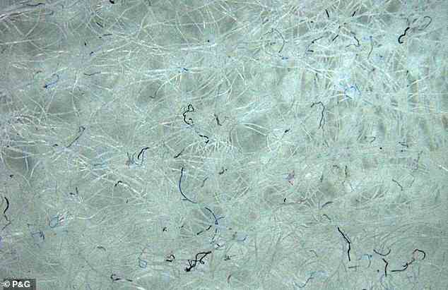 Mikrofasern sind mikroskopisch kleine Partikel, die sich von Textilien und Kleidung lösen, dünner als ein menschliches Haar und mit bloßem Auge nicht sichtbar sind