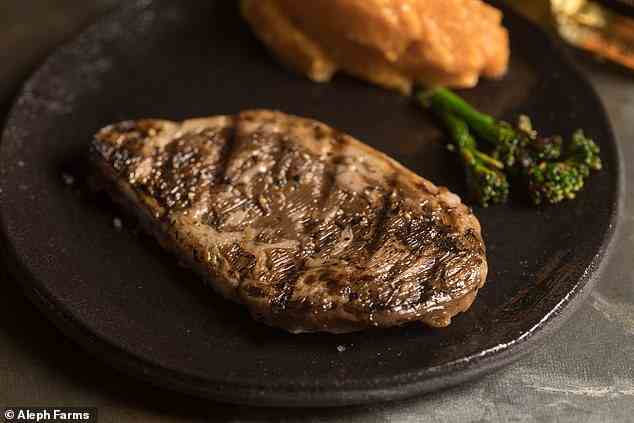 In 2019, the firm produced the world's first 3D bioprinted ribeye steak (pictured above)
