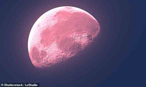 Das Phänomen, bekannt als „Rosa Mond“, verdankt seinen Namen der Blüte des farbenfrohen Krauts „Moosrosa“.