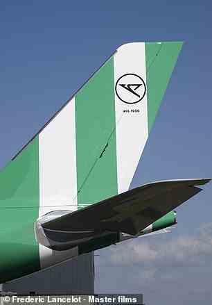 Das Condor-Logo am Heck jedes Flugzeugs hat ein „Facelifting“ erhalten