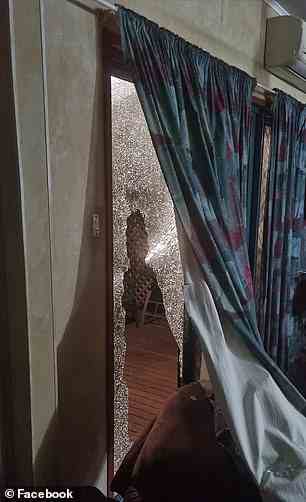 Eine Frau sagte, Vandalen hätten ein Fenster zu ihrem Haus in der Silverbox Avenue in Kununurra eingeschlagen