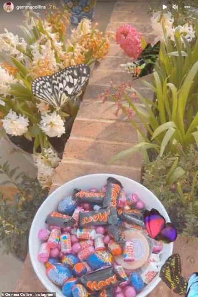 Schokoladenrausch: In echter Ostermode stellte Gemma ihren Gästen eine Reihe von Pralinen und süßen Leckereien zur Verfügung, als sie Pralinen im Garten verteilte – darunter Creme-Eier und Mars-Riegel
