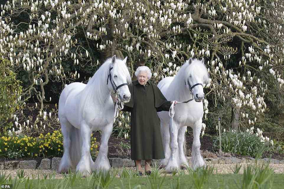 Buckingham Palace has maintained a dignified silence on the meeting ¿ in part out of respect to the monarch, who loves her grandson ¿ but Harry did not choose to issue a polite ¿no comment¿. Pictured: a new portrait of the Queen which has been released by The Royal Windsor Horse Show to mark the occasion of her 96th birthday