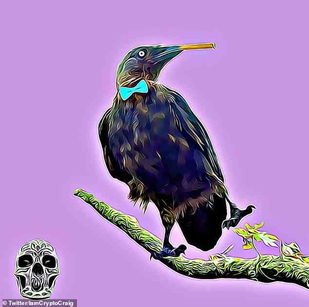 Pete Cratt hat eine Sammlung von 6.013 NFTs „geprägt“ – digitale Kunstwerke, die er im Internet verkaufen will – inspiriert von seiner Begegnung mit dem Vogelkettenraucher