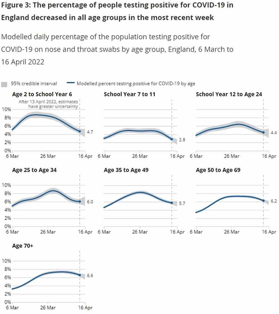 And the statisticians believe cases are falling among people of all ages in England. The highest case rate was among the over 70s (6.6 per cent), followed by 50 to 69-year-olds (6.2 per cent), 25 to 34-year-olds (6 per cent), 35 to 49-year-olds (5.7 per cent). The lowest rates were among two to 11-year-olds (4.7 per cent), 16 to 24-year-olds (4.4 per cent) and 12 to 15-year-olds (2.8 per cent)