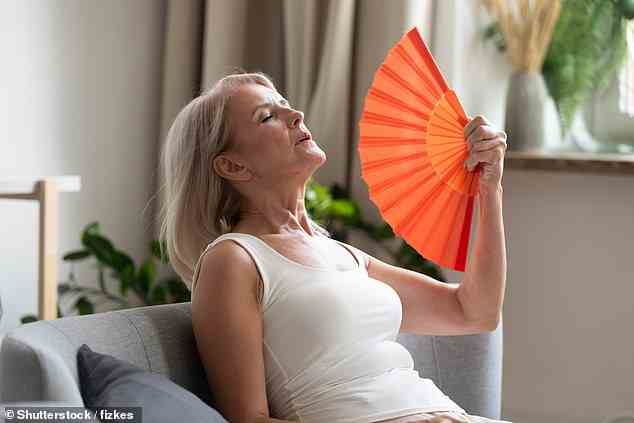 The menopause marks the end of a woman's fertile life when periods stop. (Stock image)