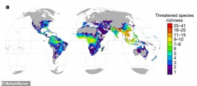 Die obige Grafik zeigt, wo auf der Welt Reptilien am stärksten bedroht sind (rot dargestellt)