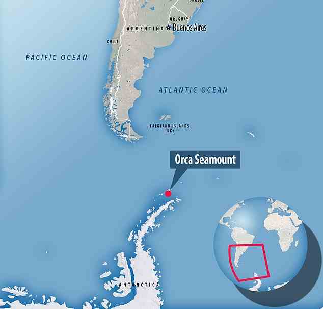 Orca Seamount liegt in der Bransfield Strait, einem Meereskanal zwischen der Antarktischen Halbinsel und den Südshetlandinseln, südwestlich der Südspitze Argentiniens