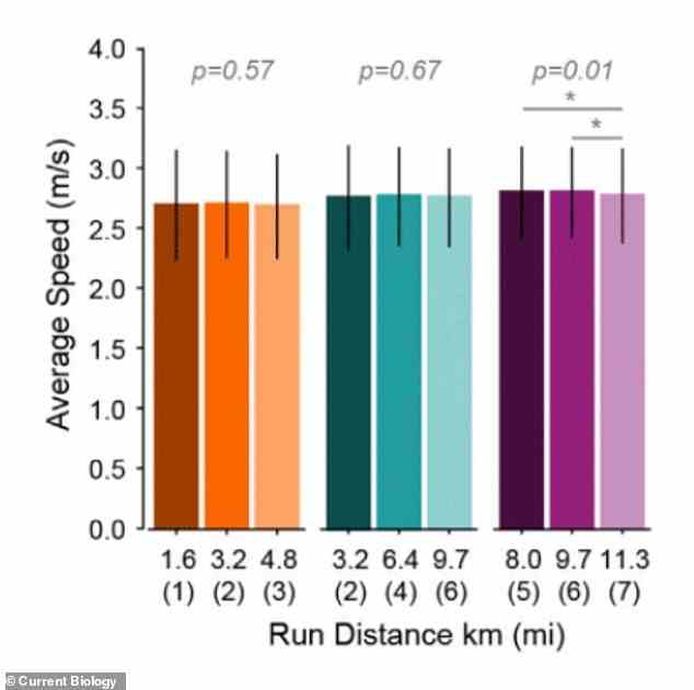 Die Ergebnisse zeigten, dass die meisten Läufer bei der gleichen Geschwindigkeit blieben, egal ob sie einen kurzen Lauf oder eine lange Strecke über 10 Kilometer absolvierten