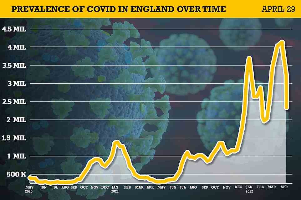 Data from the Office for National Statistics suggests 2.4million people in England were infected with the virus last week, equivalent to one in 25 people — down by a quarter in just seven days