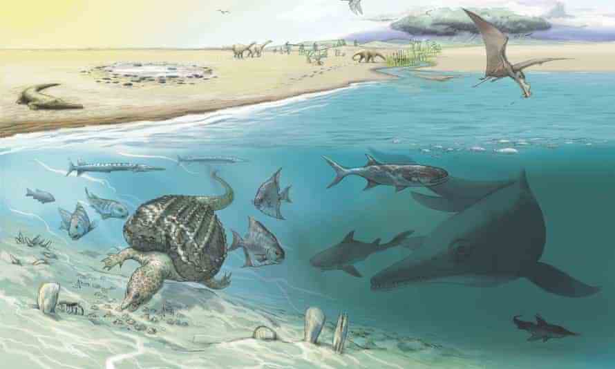 Es wird angenommen, dass walgroße Ichthyosaurier gelegentlich seichte Gewässer besucht haben