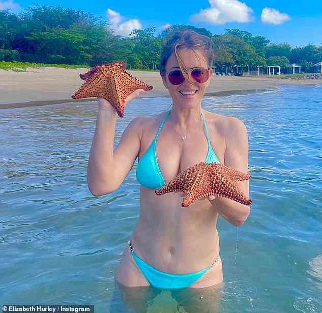 Oh je: Elizabeth Hurley wurde von Fans verprügelt, weil sie in einem Urlaubsfoto mit „zarten“ Seesternen posiert hat