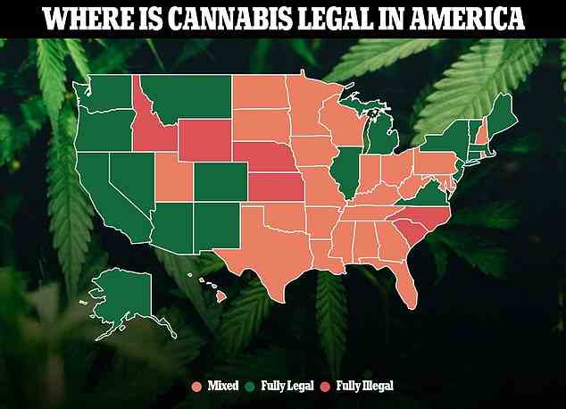 Mehrere Bundesstaaten haben inzwischen den Freizeitkonsum von Cannabis legalisiert, allerdings nicht für Personen unter 21 Jahren
