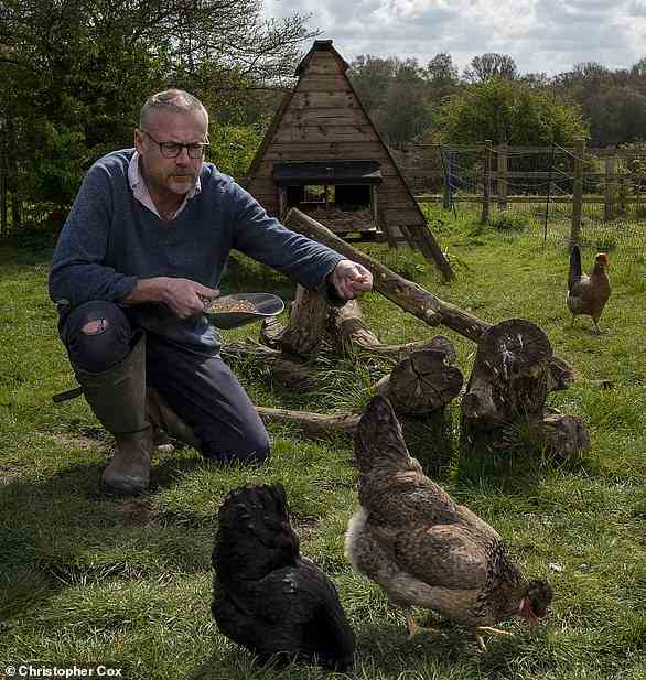 Financial Coop: Toby Walne hütet seine Hühner in seinem Haus in der Nähe von Bishop's Stortford