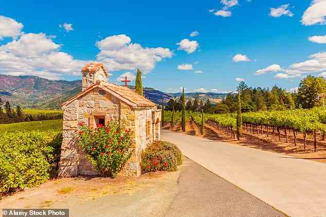 Trockene Weine: Sie können eine Tour durch das sonnenverwöhnte Napa Valley buchen, eine der berühmtesten Weinregionen Kaliforniens