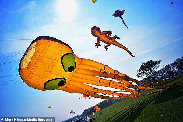 Wacky: Beim Bridlington Kite Festival fliegen Luftexperten alles von riesigen, farbenfrohen Drachen bis hin zu Fröschen über die Klippen und Strände der Stadt