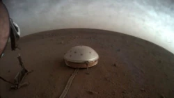 Quiz – Wissenschaftler verzeichnen die größten „Marsbeben“ auf dem Roten Planeten