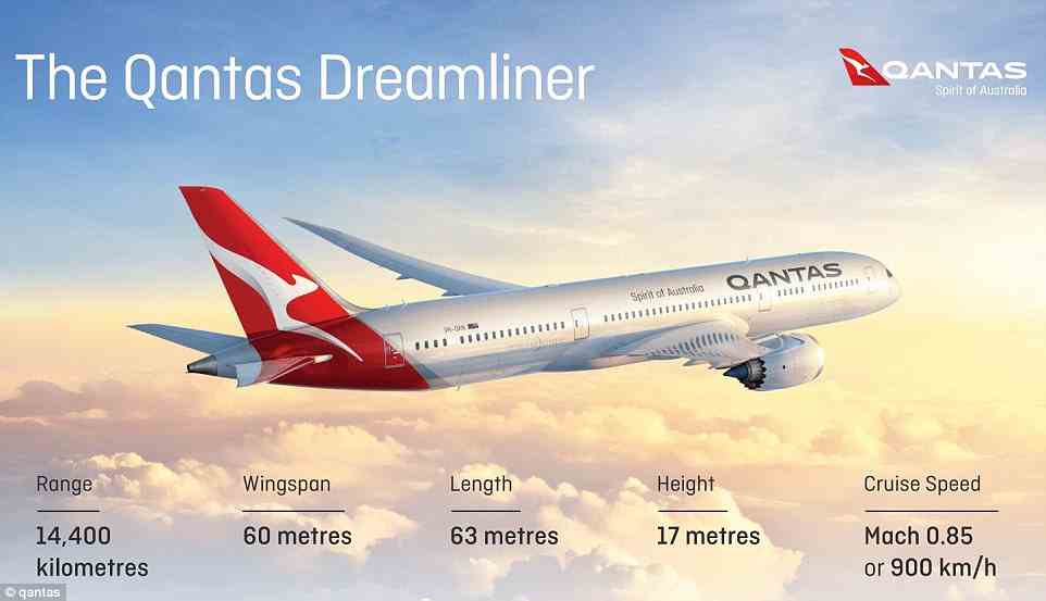 An infographic showing the Dreamliner aircraft that Qantas are using on the route. It has a range of 14,400 kilometres or almost 9,000 miles