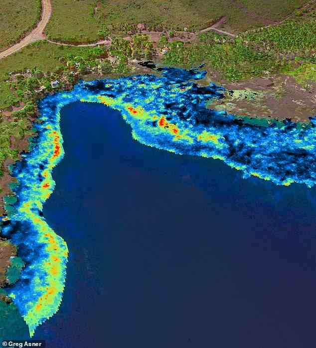 Die Karten zeigen mehr als 10 potenzielle Lebensräume, die Korallen einen sicheren Hafen bieten könnten – sogenannte „Korallen-Refugien“.