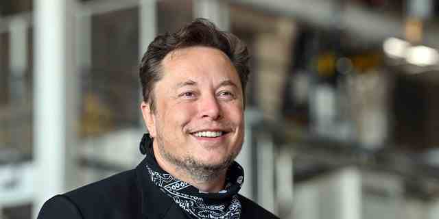 Tesla-CEO Elon Musk (Foto von Patrick Pleul/Picture Alliance via Getty Images)