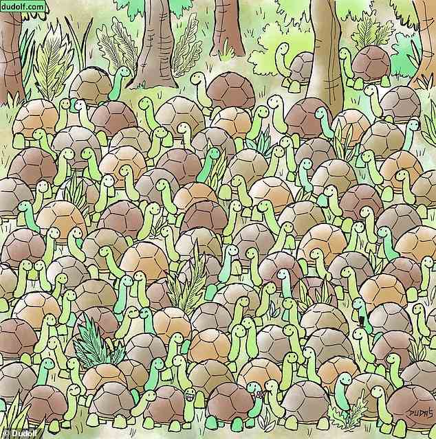 Hungarian cartoonist Gergely Dudas, better known as Dudolf , shared one of his classic brainteasers to Facebook, challenging players to find the snake among the tortoises