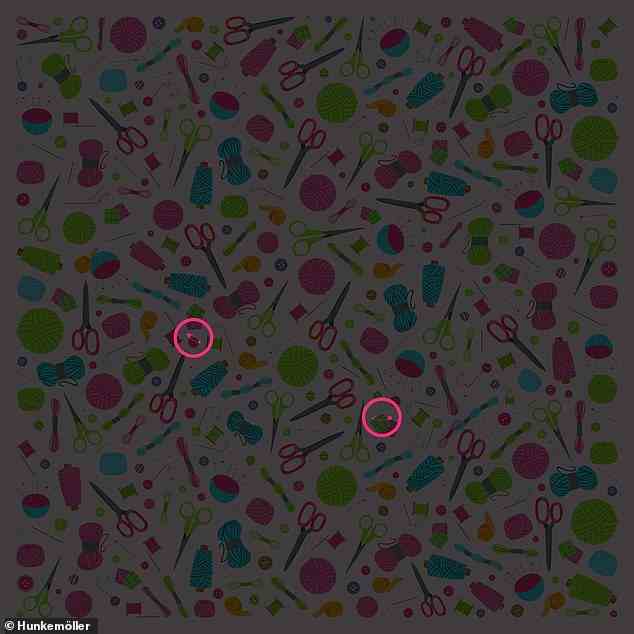 The answer: The two safety pins (circled) can be found near the centre of the picture