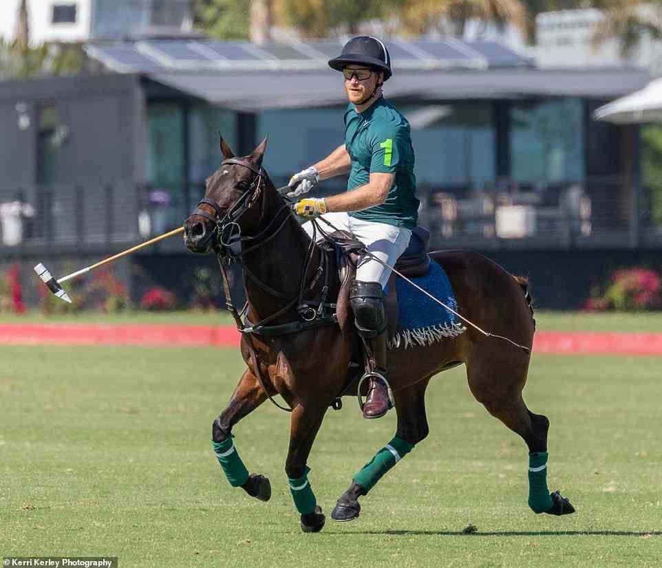 Harry on his polo pony during the chukka he took part in a polo match last weekend. He has now reportedly signed up for the whole season