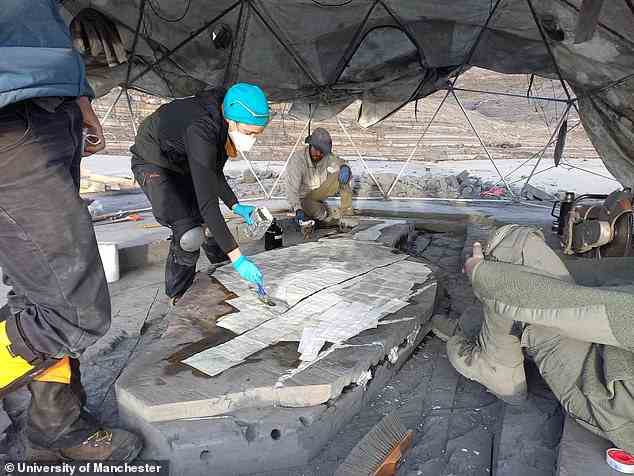 Der Ichthyosaurier wird nun im paläontologischen Labor des Museums präpariert, wo er für eine spätere Ausstellung zwischengelagert wird