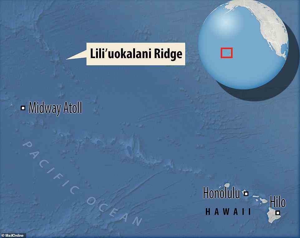 Die Formation wurde am Liliʻuokalani Ridge im Papahānaumokuakea Marine National Monument im Pazifik gefunden
