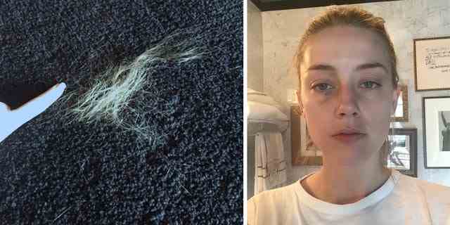 Beweisfotos zeigen Amber Heard mit einem blauen Auge, einer angeblich gebrochenen Nase und einem Haarbüschel auf dem Boden.
