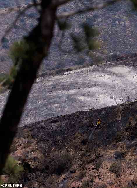 A lone firefighter sprays water on a canyon hillside