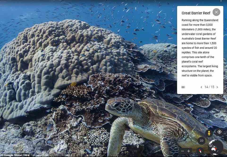 Google Street View ging 2012 unter Wasser, um Australiens Great Barrier Reef einzufangen
